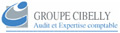 gestion de patrimoine chef entreprise